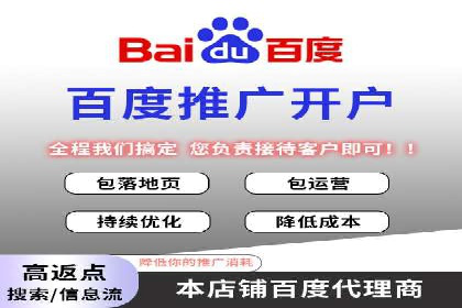 百度推广排名大揭秘：某电商平台的成功之路